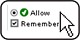 Select "Allow" and "Remember".